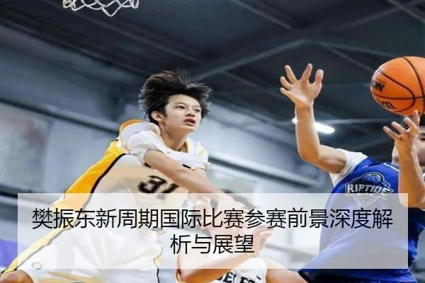 樊振东新周期国际比赛参赛前景深度解析与展望